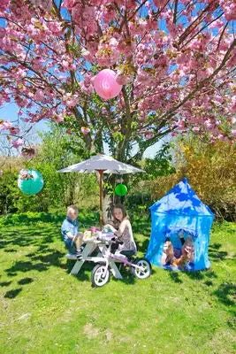 Woodlii Piknikbord Med Parasoll 4 Woodlii Piknikbord Med Parasoll - Bilde 4